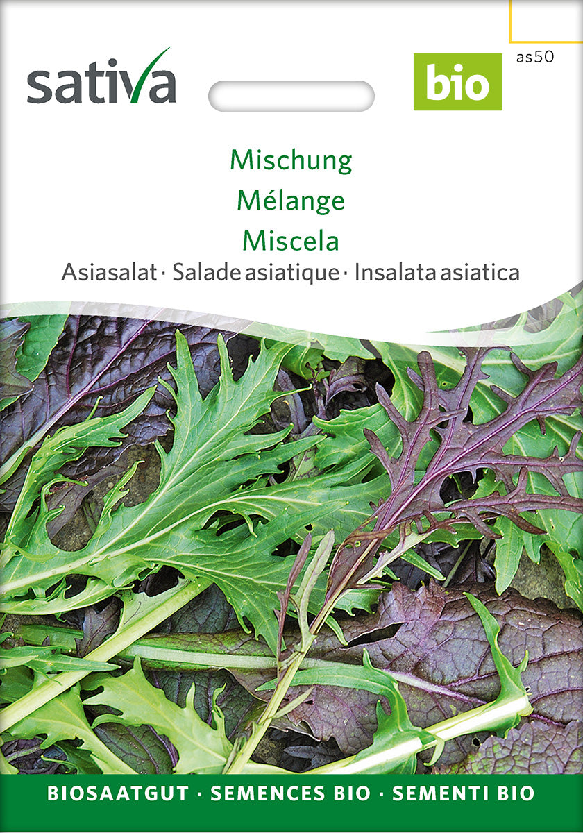 Sativa Asiasalat Mischung