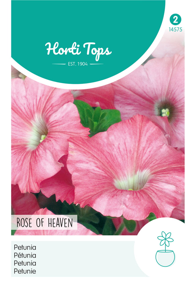 Horti Tops Petunie Nana Compacta Himmelröschen