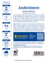 Kiepenkerl Physalis Kapstachelbeere