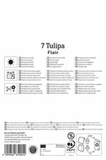 Einfache frühe Tulpe Flair