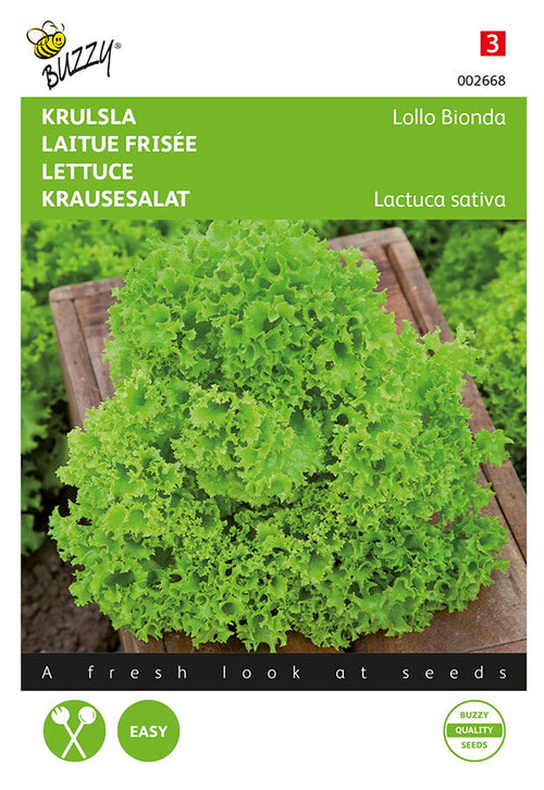 Buzzy Seeds Pflück- & Schnittsalat Lollo Bionda