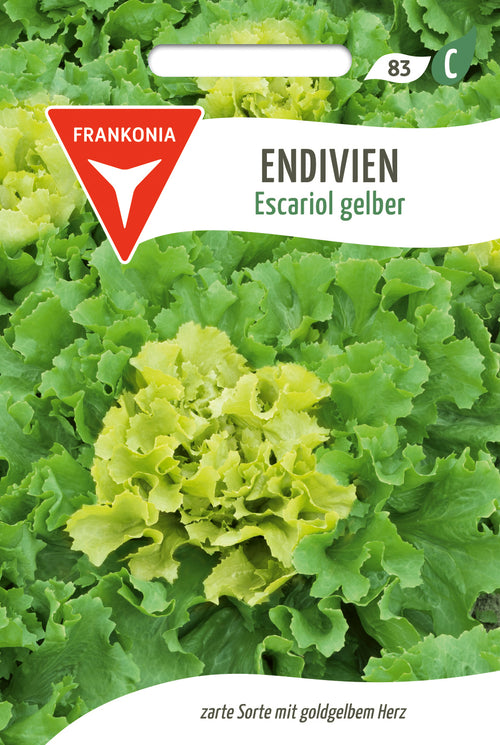 Frankonia Samen Endiviensalat Escariol gelber