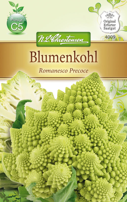 N.L. Chrestensen Blumenkohl Romanesco Precoce