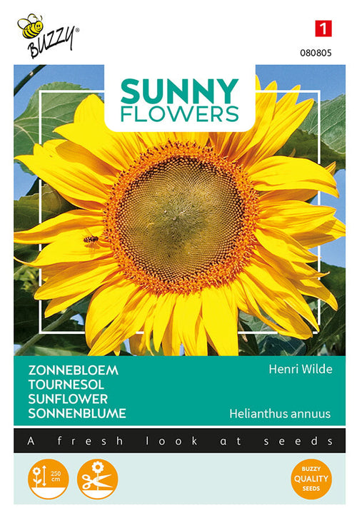 Buzzy Seeds Sonnenblume Henry Wilde