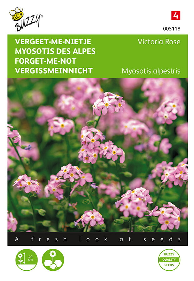 Buzzy Seeds Vergissmeinnicht Victoria