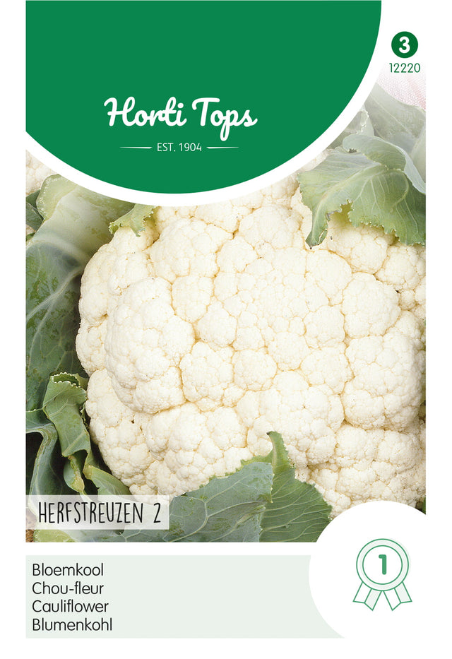 Horti Tops Blumenkohl Herbstriesen 2