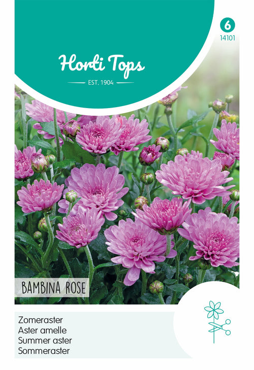 Horti Tops Sommeraster Bambina Rose