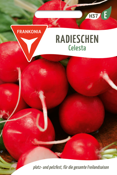 Frankonia Samen Radieschen Celesta