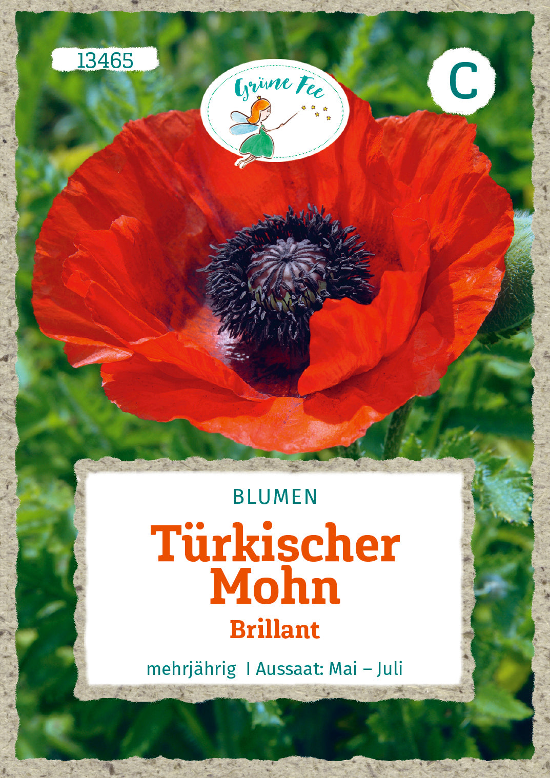 Grüne Fee Mohn Türkischer Brillant