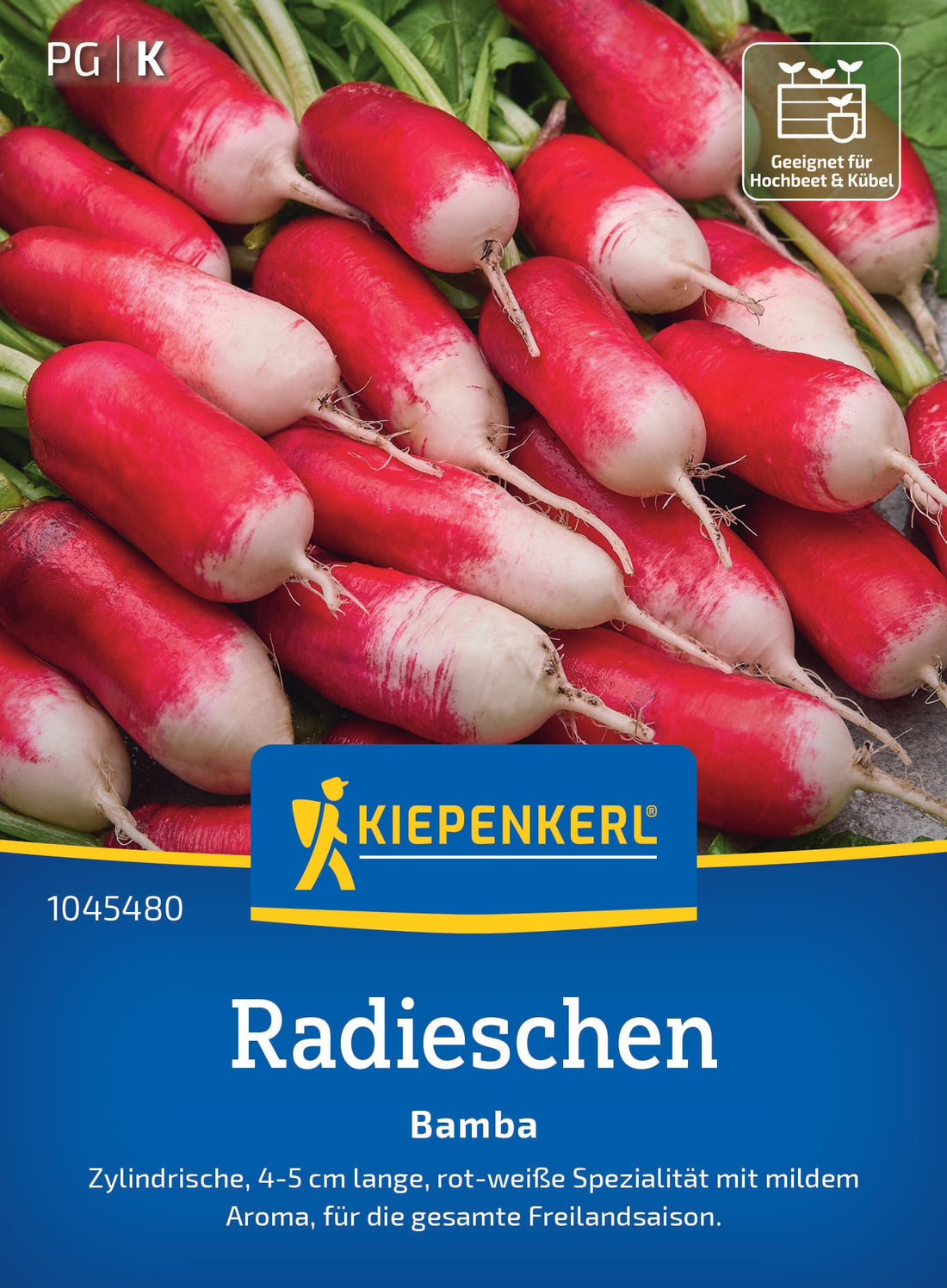 Kiepenkerl Radieschen Bamba
