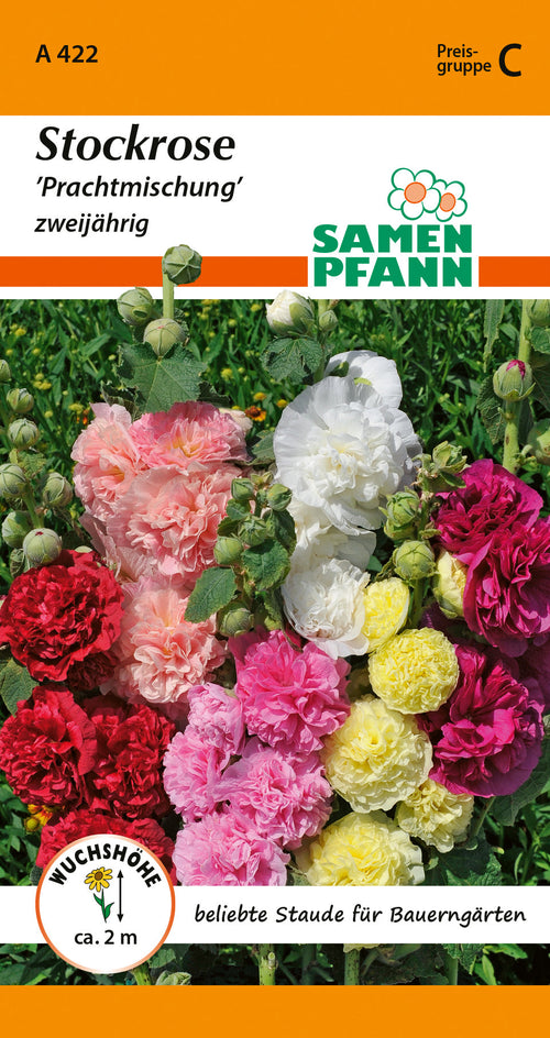 Samen Pfann Stockrose Prachtmischung zweijährig