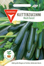 Frankonia Samen Zucchini Black Forest