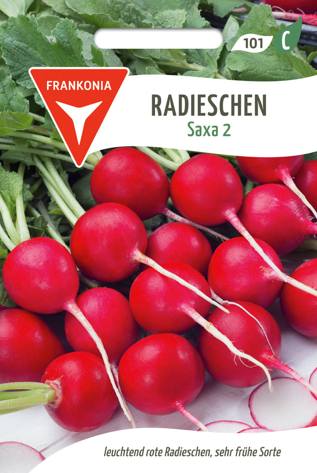 Frankonia Samen Radieschen Saxa 2