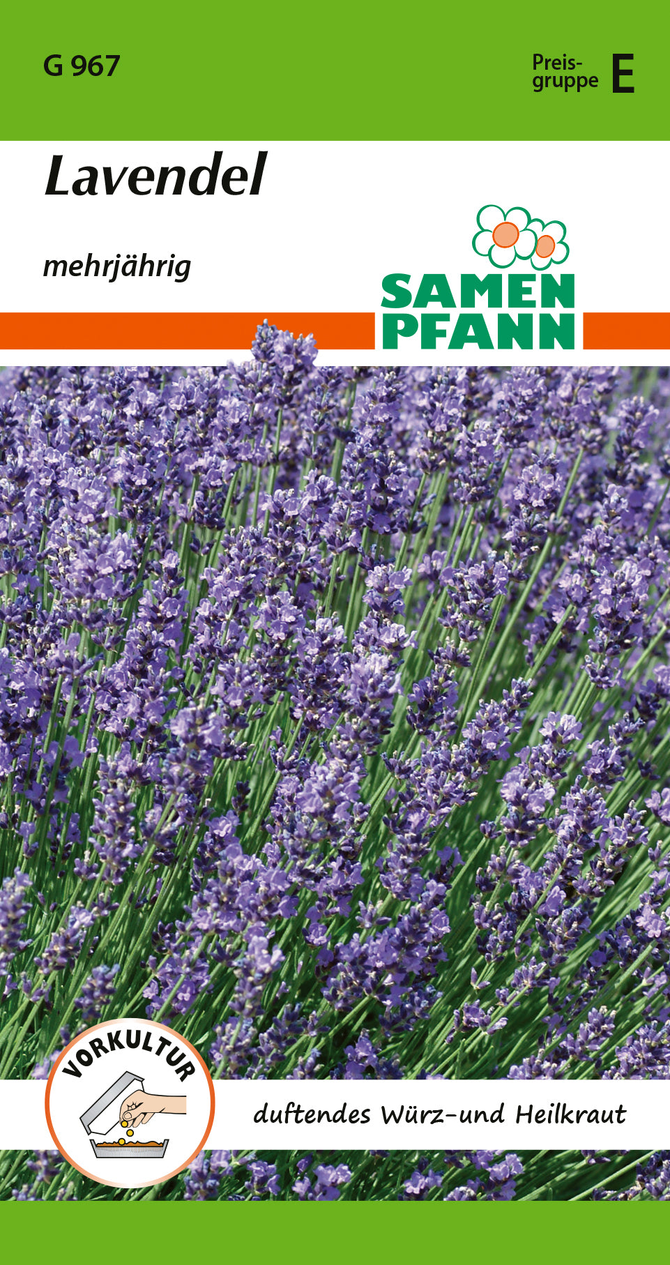 Samen Pfann Lavendel Mehrjährig