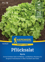 Kiepenkerl Pflück- & Schnittsalat Kyrio
