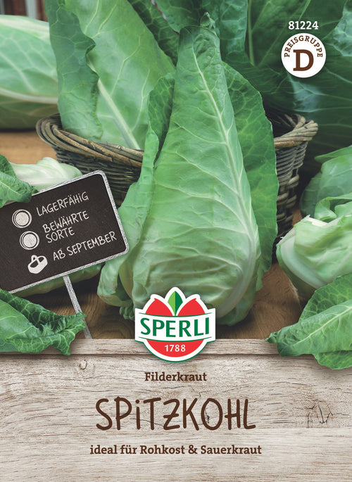 SPERLI Kohl Filderkraut