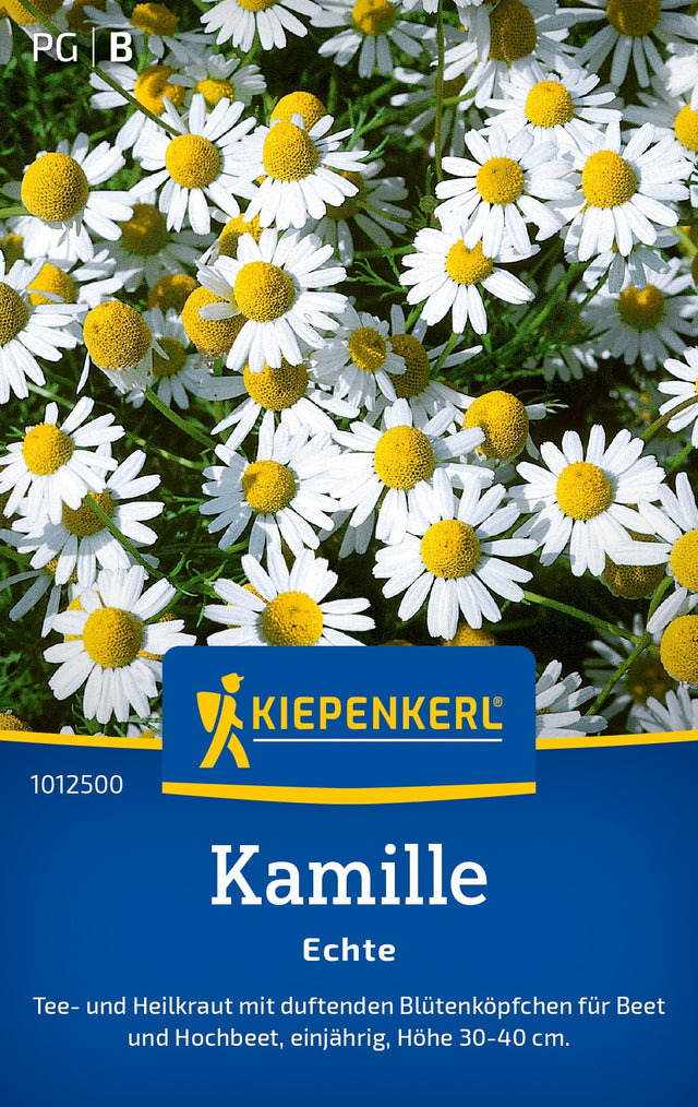 Kiepenkerl Kamille Echte