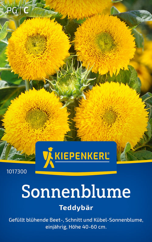 Kiepenkerl Sonnenblumen Gefüllter Zwerg