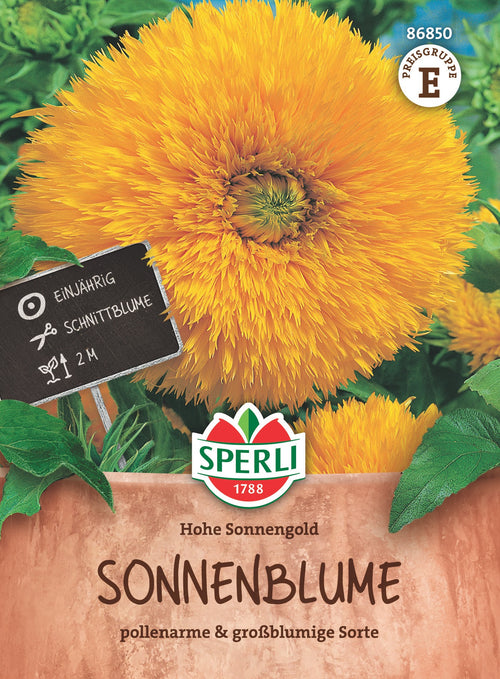SPERLI Sonnenblumensame Hohe Sonnengold