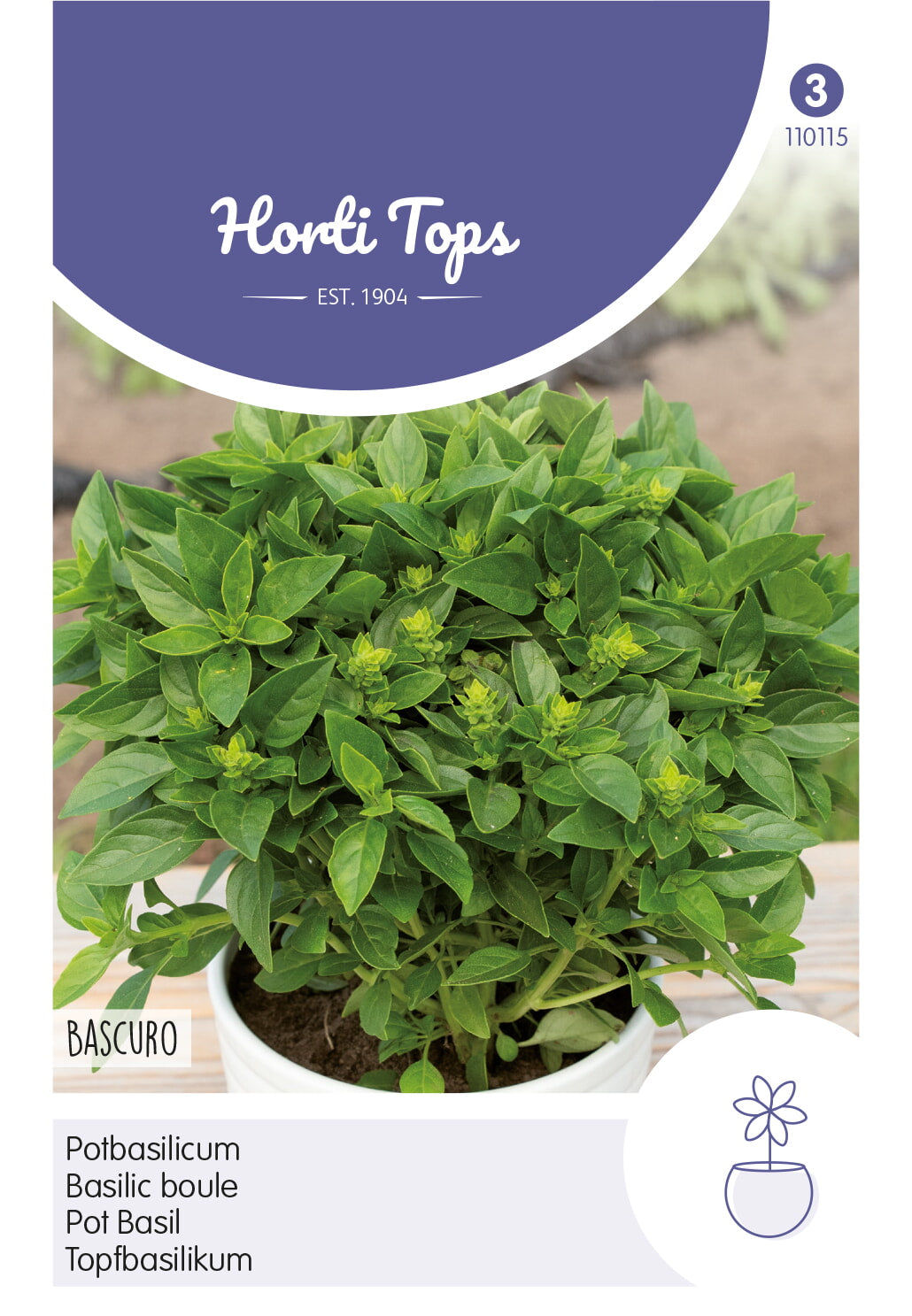 Horti Tops Basilikum Bascuro Typ Greco Dunkelgrün