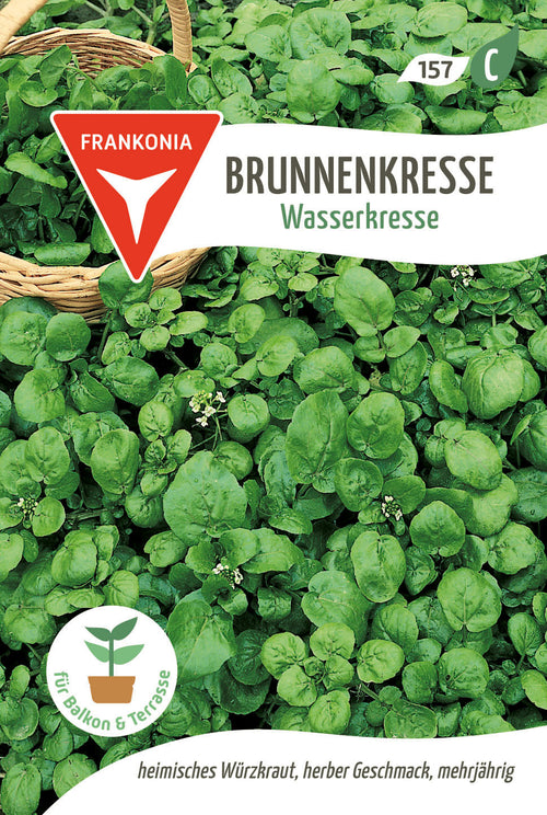 Frankonia Samen Brunnenkresse Wasserkresse