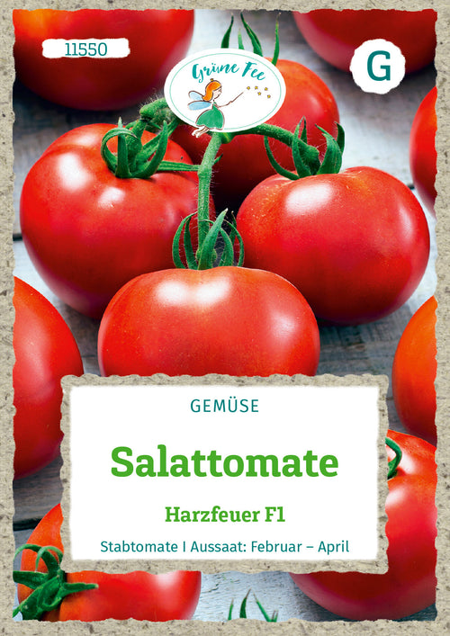Grüne Fee Salattomaten Harzfeuer F1