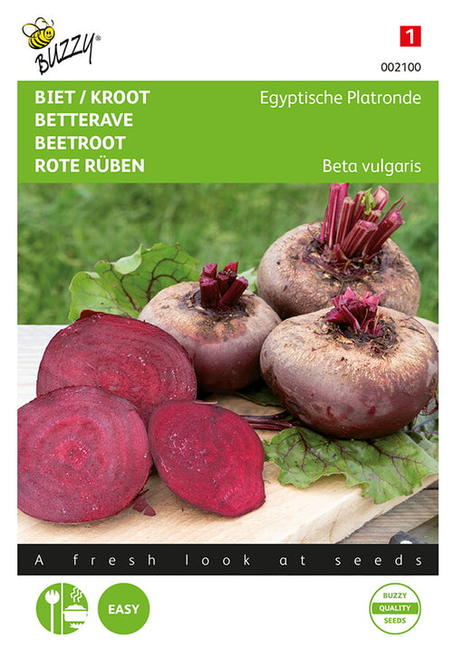 Buzzy Seeds Rote Bete Ägyptische Plattrunde