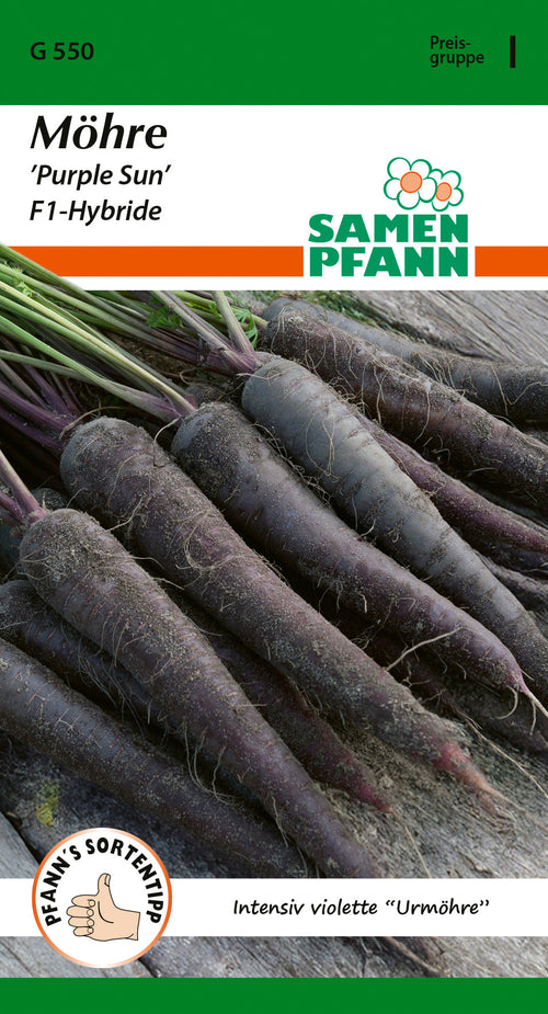 Samen Pfann Möhre Purple Sun