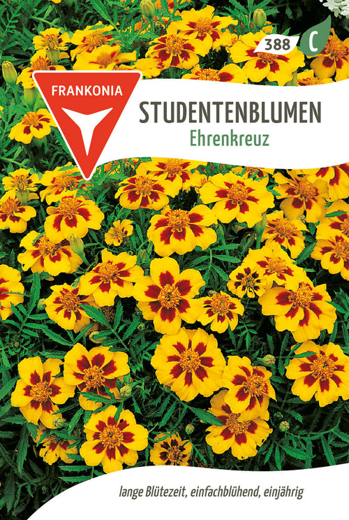 Frankonia Samen Studentenblumen Ehrenkreuz