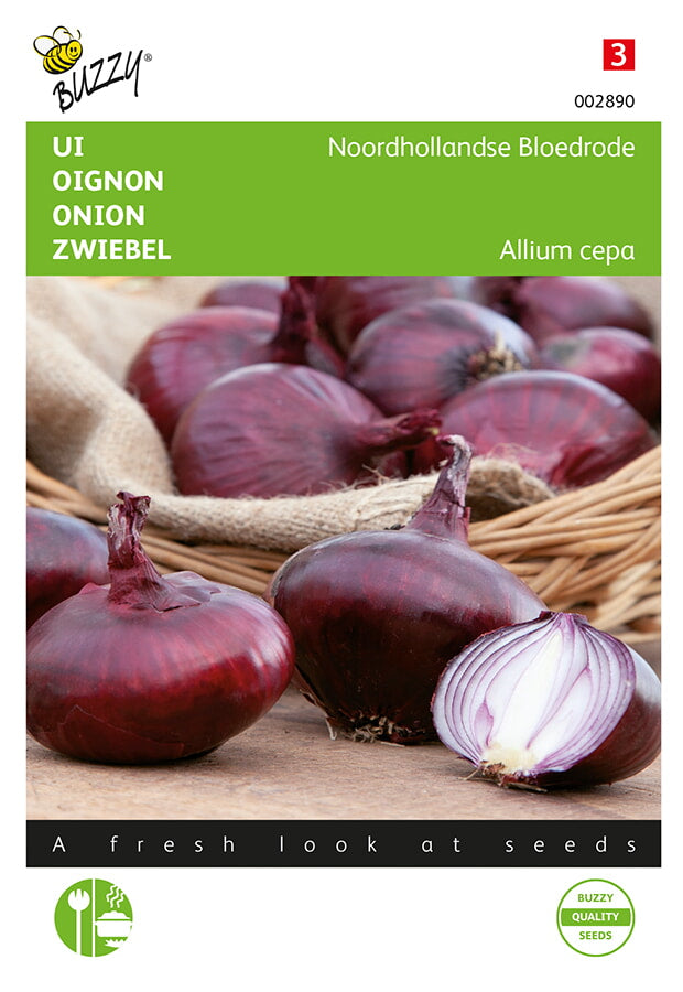 Buzzy Seeds Zwiebel Holländische Blutrote