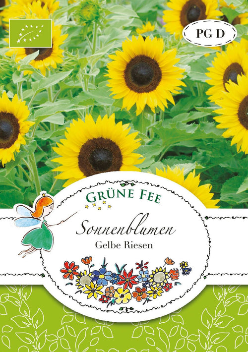 Grüne Fee Sonnenblumen Gelbe Riesen
