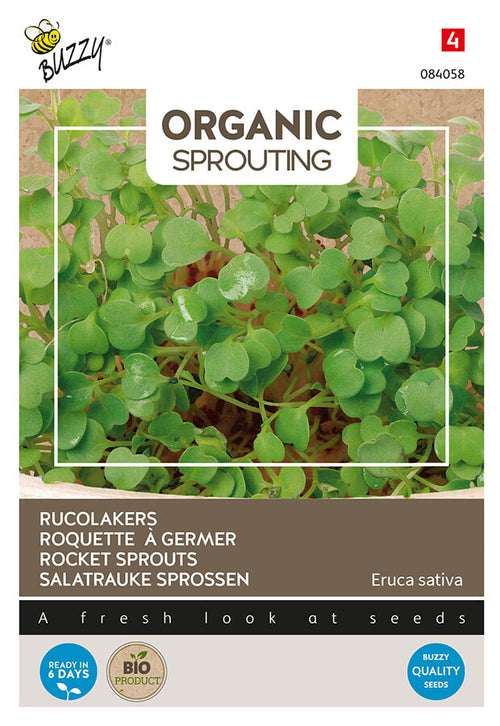 Buzzy Seeds BIO Keimsprossen Salatrauke