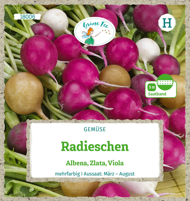 Grüne Fee Radieschen Zlata, Viola, Albena Saatband