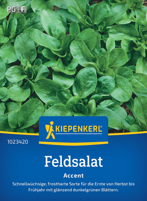 Kiepenkerl Feldsalat Accent