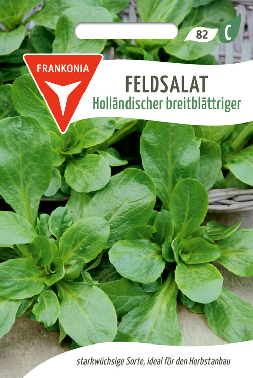 Frankonia Samen Feldsalat Holländischer breitblättriger
