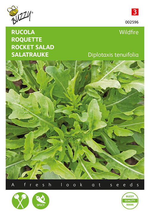 Buzzy Seeds Salatrauke Rucola Wasabi