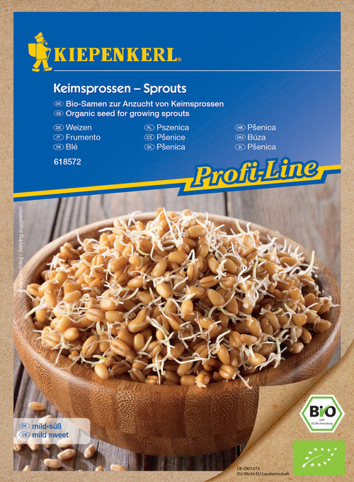 Kiepenkerl BIO Keimsprossen Weizen