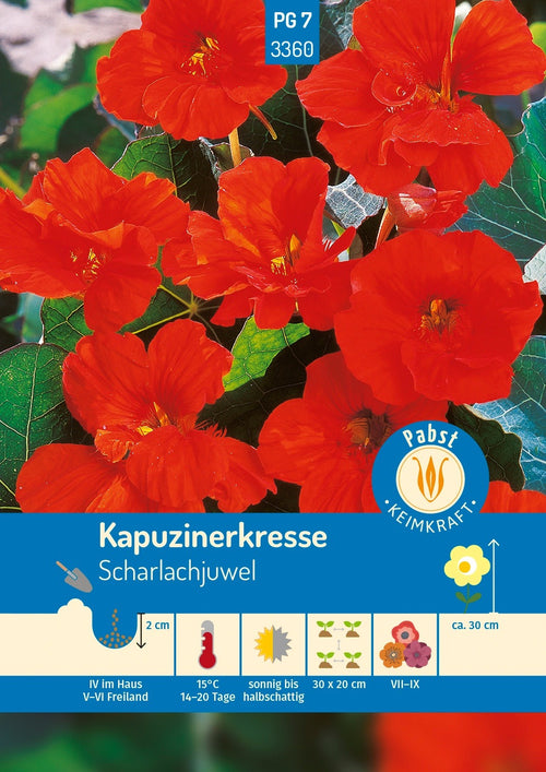 Pabst Keimkraft Kapuzinerkresse Scharlachjuwel