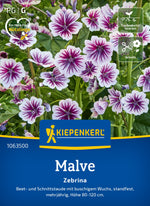 Kiepenkerl Malven Zebrina