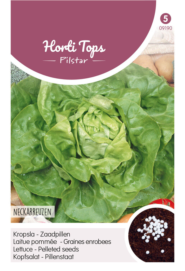 Horti Tops Kopfsalat  Neckarriesen Pillenstaat