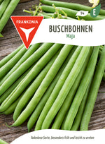 Frankonia Samen Buschbohnen Maja