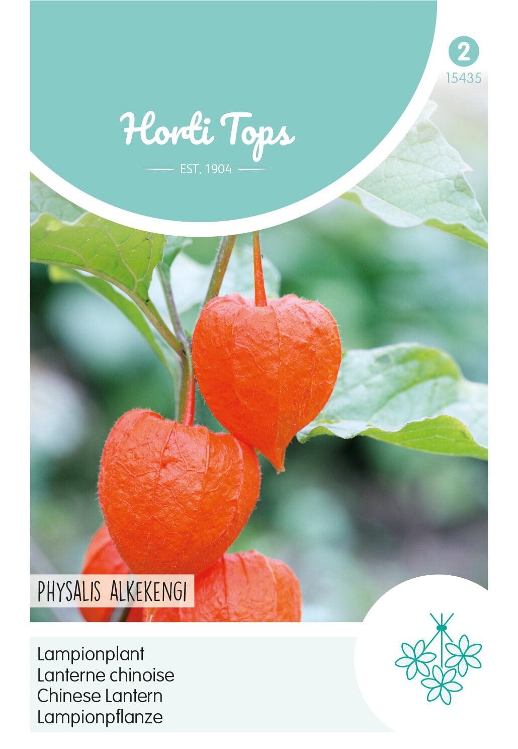 Horti Tops Lampionblume Alkekengi