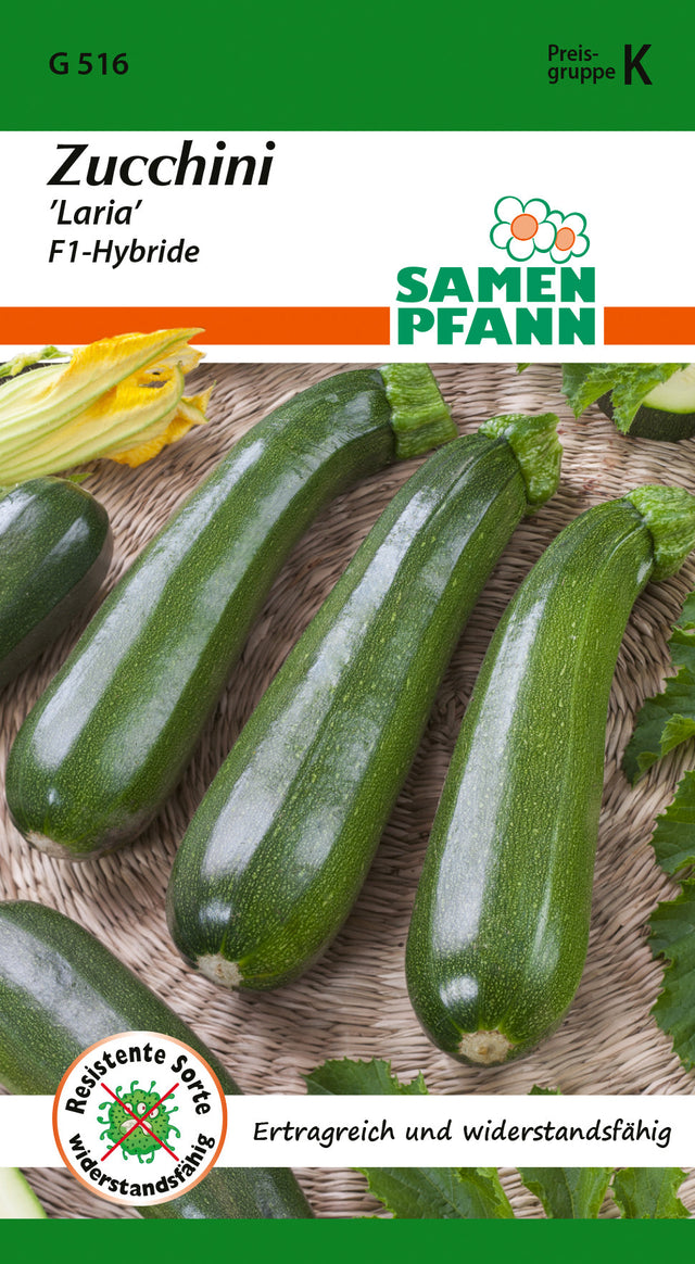 Samen Pfann Zucchini Laria