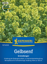 Kiepenkerl Gründünger Gelbsenfsamen Weißsamiger Senf Loses Saatgut