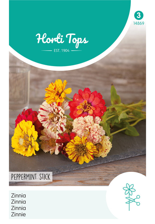 Horti Tops Zinnie Peppermint Stick