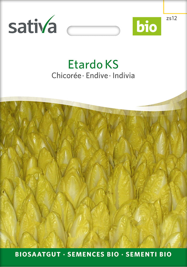 Sativa Chicorée Etardo KS