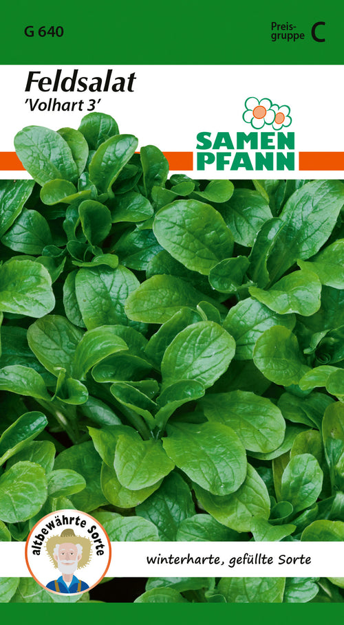 Samen Pfann Feldsalat Volhart 3