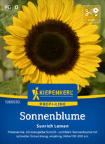 Kiepenkerl Sonnenblumen Sunrich Lemon