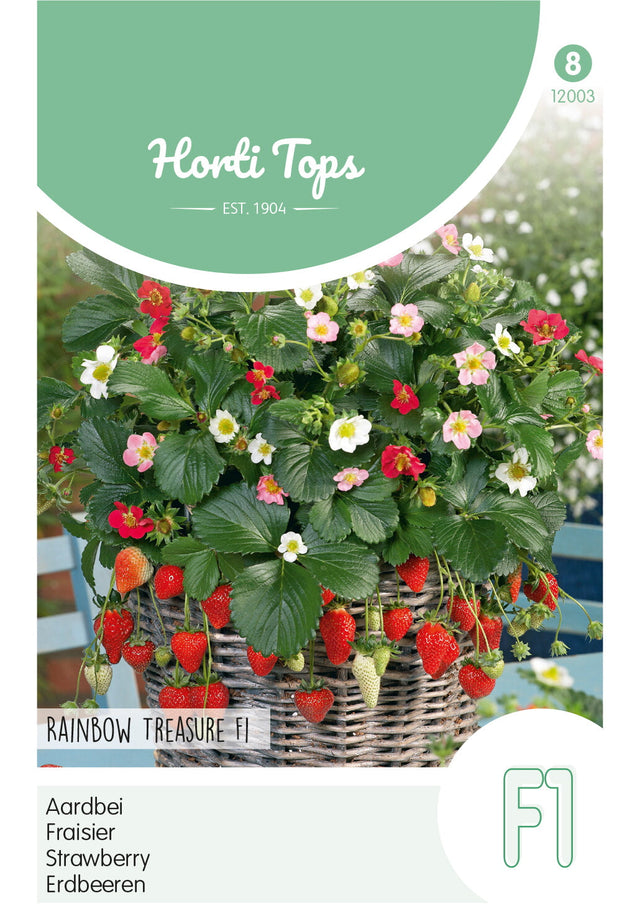 Horti Tops Erdbeere Rainbow Treasure