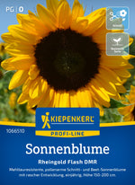 Kiepenkerl Sonnenblumen Rheingold Flash DMR